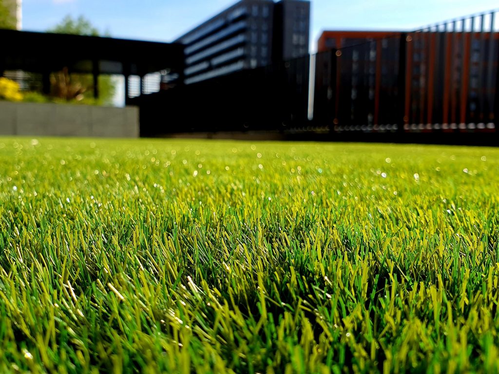 Enjoy Your Outdoor Space This Autumn with Artificial Grass