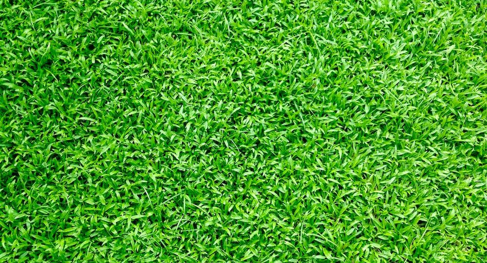 Artificial Grass Leigh