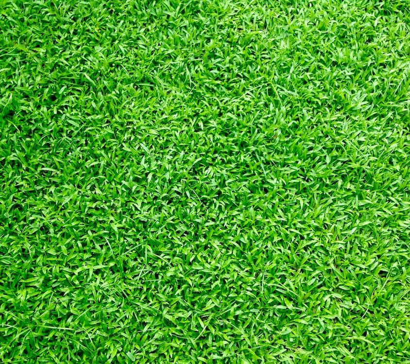 Artificial Grass Leigh