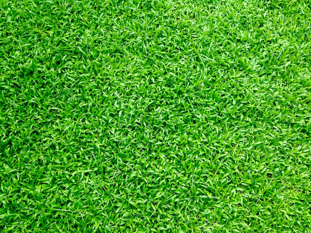 Artificial Grass Leigh