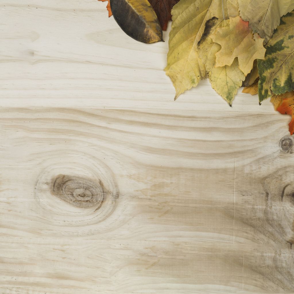 This Autumn Flooring 2023