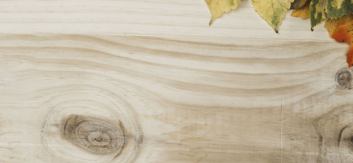 This Autumn Flooring 2023