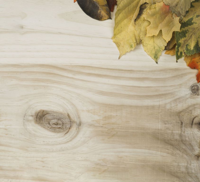 This Autumn Flooring 2023